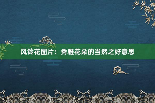 风铃花图片：秀雅花朵的当然之好意思