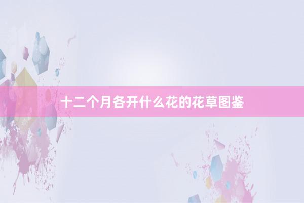 十二个月各开什么花的花草图鉴